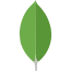 MongoDB icon